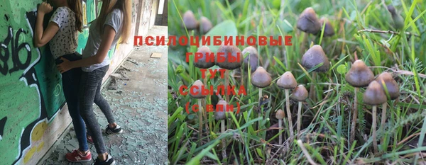 прущая мука Фурманов