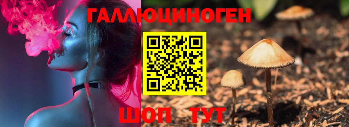 Ессентуки  купить наркотики сайты  Вход с VPN  Псилоцибиновые грибы Magic Shrooms 
